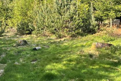 3 acres of Timberland for sale in Dinton