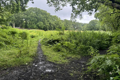 Vacant Land for sale in West End