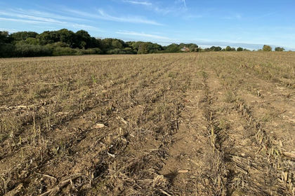 11.5 acres of Arable Land for sale in Horning