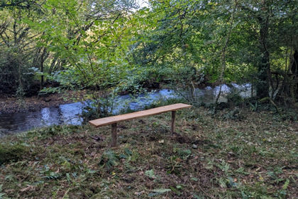 3 acres of Woodland for sale in