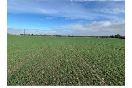 17.7 acres of Agricultural Land for sale in Sheldwich