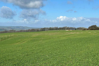 109.8 acres of Agricultural Land for sale in Chedington