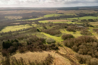 188.1 acres of Grazing Land for sale in Falstone