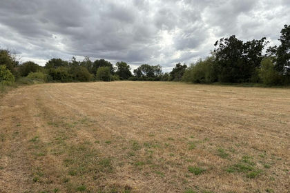 17.4 acres of Agricultural Land for sale in Deerhurst