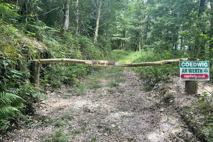 6 acres of Woodland for sale in