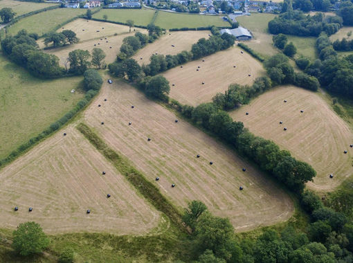 19.2 acres of Smallholding for sale in Llandovery