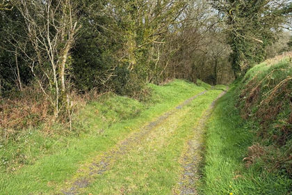 3.1 acres of Woodland for sale in Hayscastle