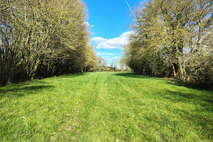 3.6 acres of Agricultural Land for sale in Thorpe Morieux