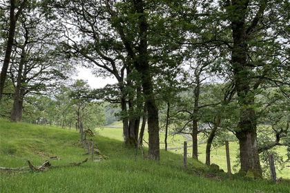 1.9 acres of Agricultural Land for sale in Torver