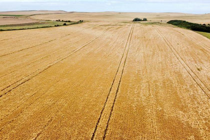 230.9 acres of Agricultural Land for sale in Bempton