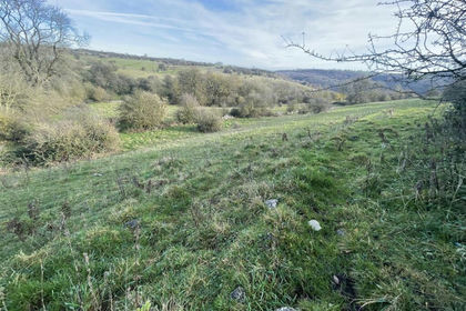 16.9 acres of Grazing Land for sale in Ible
