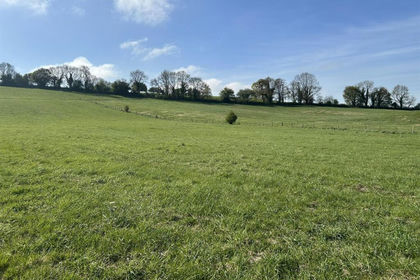 17.3 acres of Grazing Land for sale in Much Wenlock