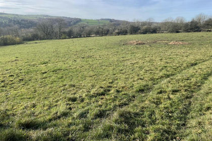 31 acres of Agricultural Land for sale in Ible