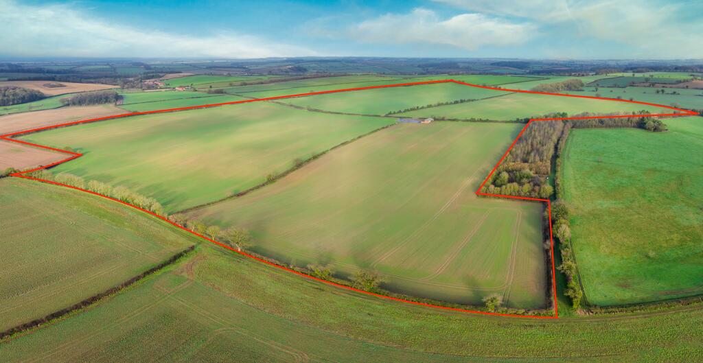 138.38 Acres of Arable Land for Sale in Great Snoring, Norfolk | LandSale