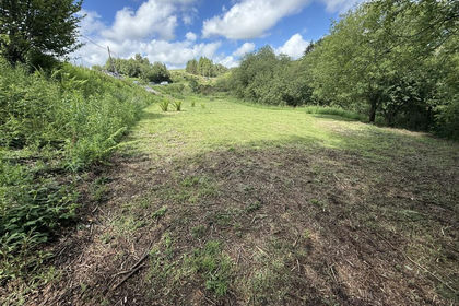 Amenity Land for sale in Blaenrheidol