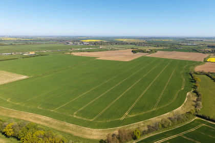 250.5 acres of Farmland for sale in Little Carlton