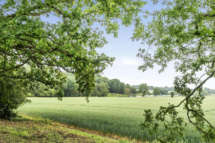 67 acres of Farmland for sale in Great Hallingbury