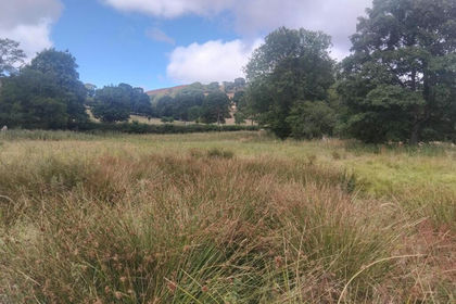 3.6 acres of Cheap Land for sale in Llanarmon-yn-Ial