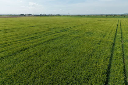 78.9 acres of Arable Land for sale in Louth