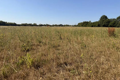 Undeveloped Land for sale in Broxted