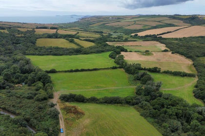 Agricultural Land for sale in Brawdy