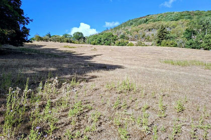 12 acres of For sale in Trewern