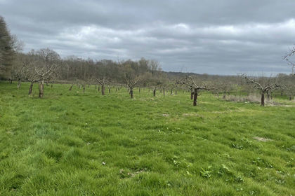 Amenity Land for sale in Iden Green
