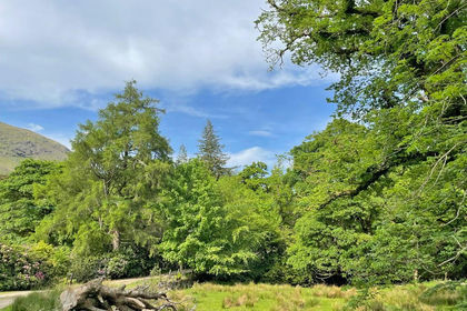 Development Land for sale in Argyll, Bute and South Lochaber