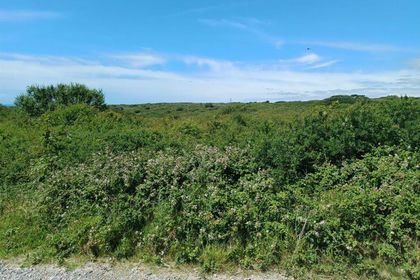 Vacant Land for sale in Newhaven