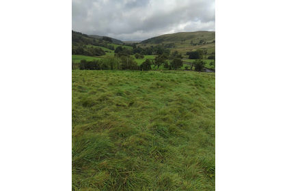 9.9 acres of Pasture for auction in Orton