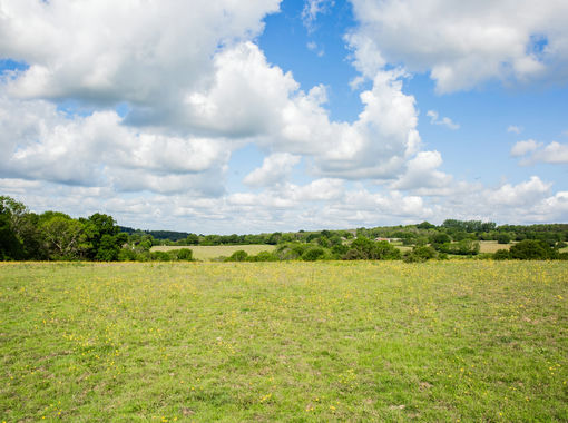 Cheap Land for sale in Cowden
