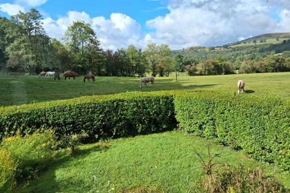 14 acres of Smallholding for sale in Llanfair-ar-y-bryn