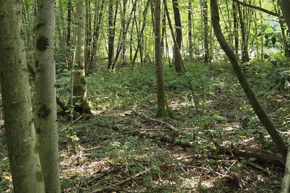 Recreational Land for sale in Vigo