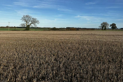 6.8 acres of Agricultural Land for sale in Repps with Bastwick