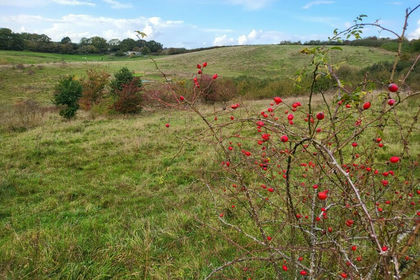 Land for sale in Clophill