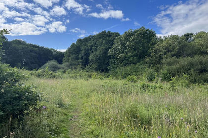 8.8 acres of Agricultural Land for sale in Iron Acton