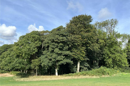 36.7 acres of Woodland for sale in Buan