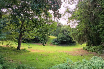 28 acres of Agricultural Land for sale in Ysgubor-y-coed