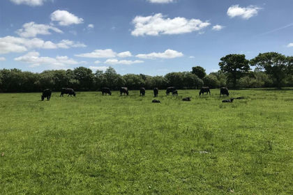 61 acres of Agricultural Land for sale in Lampeter Velfrey