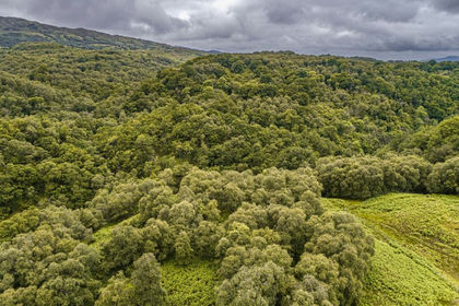 131.3 acres of Development Land for sale in Argyll, Bute and South Lochaber