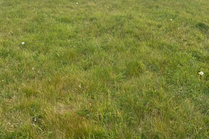 1.3 acres of Vacant Land for sale in Chelsham and Farleigh