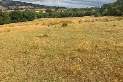 55 acres of Agricultural Land for sale in Crucorney