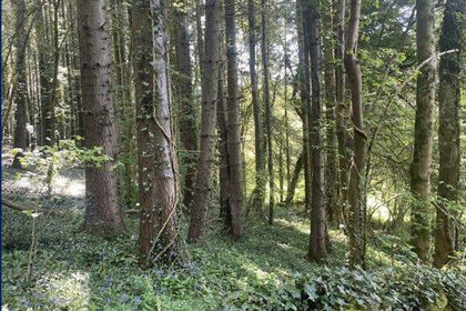 5.6 acres of Recreational Land for sale in Devauden