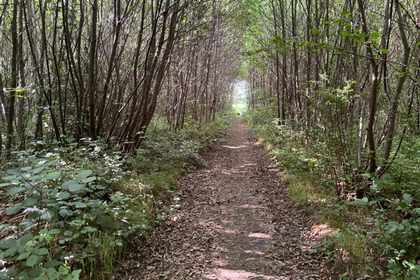 58.2 acres of Woodland for sale in East Malling and Larkfield