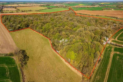 33.5 acres of Timberland for sale in Leaden Roding