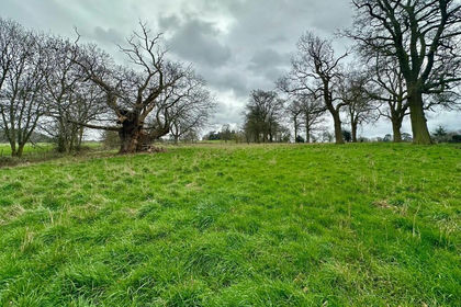 2.8 acres of Grazing Land for sale in Weston-under-Redcastle