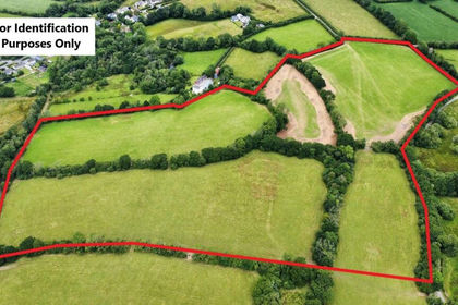 30 acres of Agricultural Land for sale in Henllanfallteg