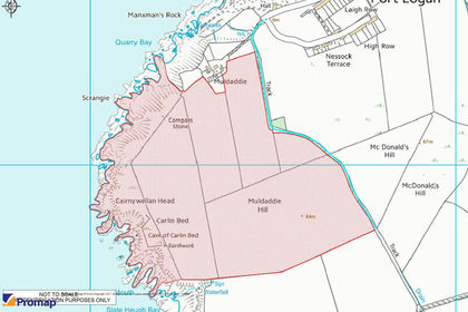 75.8 acres of Agricultural Land for sale in Dumfries and Galloway