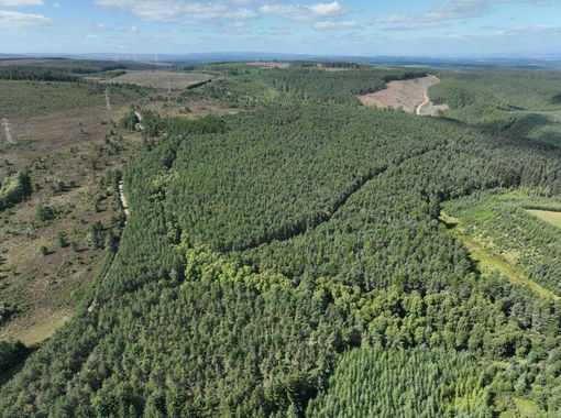 3239.6 acres of Timberland for sale in Moray West, Nairn and Strathspey