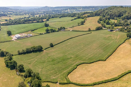 27 acres of Agricultural Land for sale in Upottery